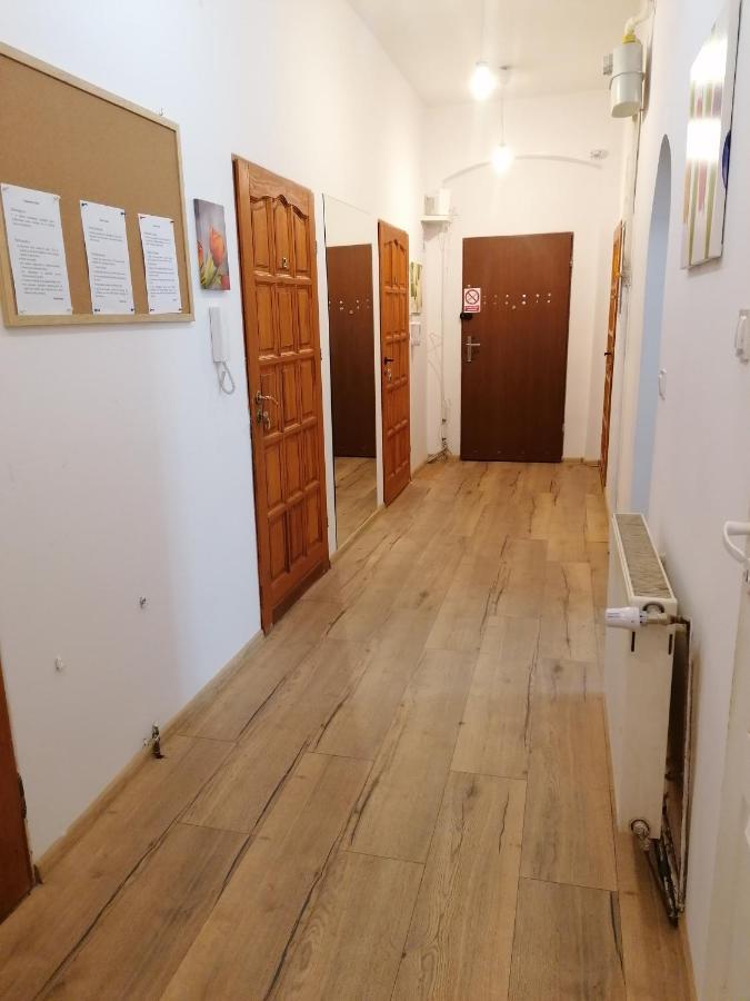 Hostel Tulip - Pokoj Jednoosobowy Nr 3 Ze Wspolna Lazienka I Kuchnia 什切青 外观 照片